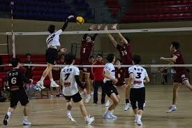 只值3500万？隆戈：曼联准备用霍伊伦+4000万欧报价奥斯梅恩